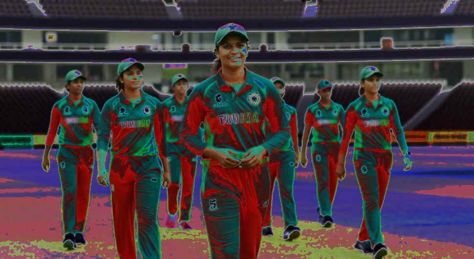 খালি খতিয়ানের পাঠ: ডেটা না এলে ক্রিকেট কী হারায়